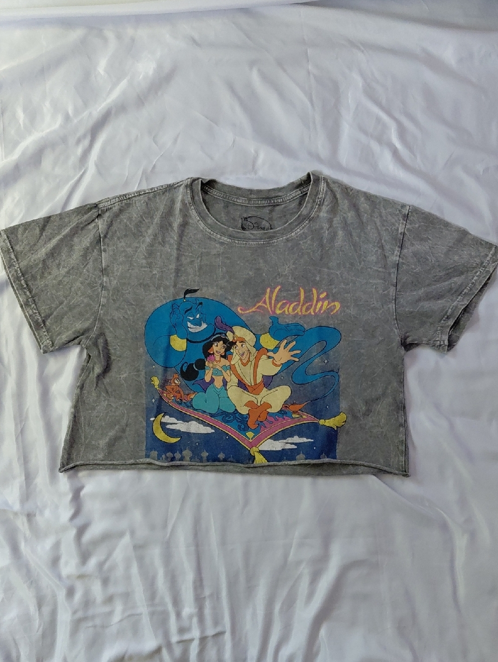 Disney's Aladdin A Whole New World Grey -acid Wash Cropped Tee Womens S